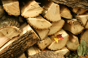 Firewood